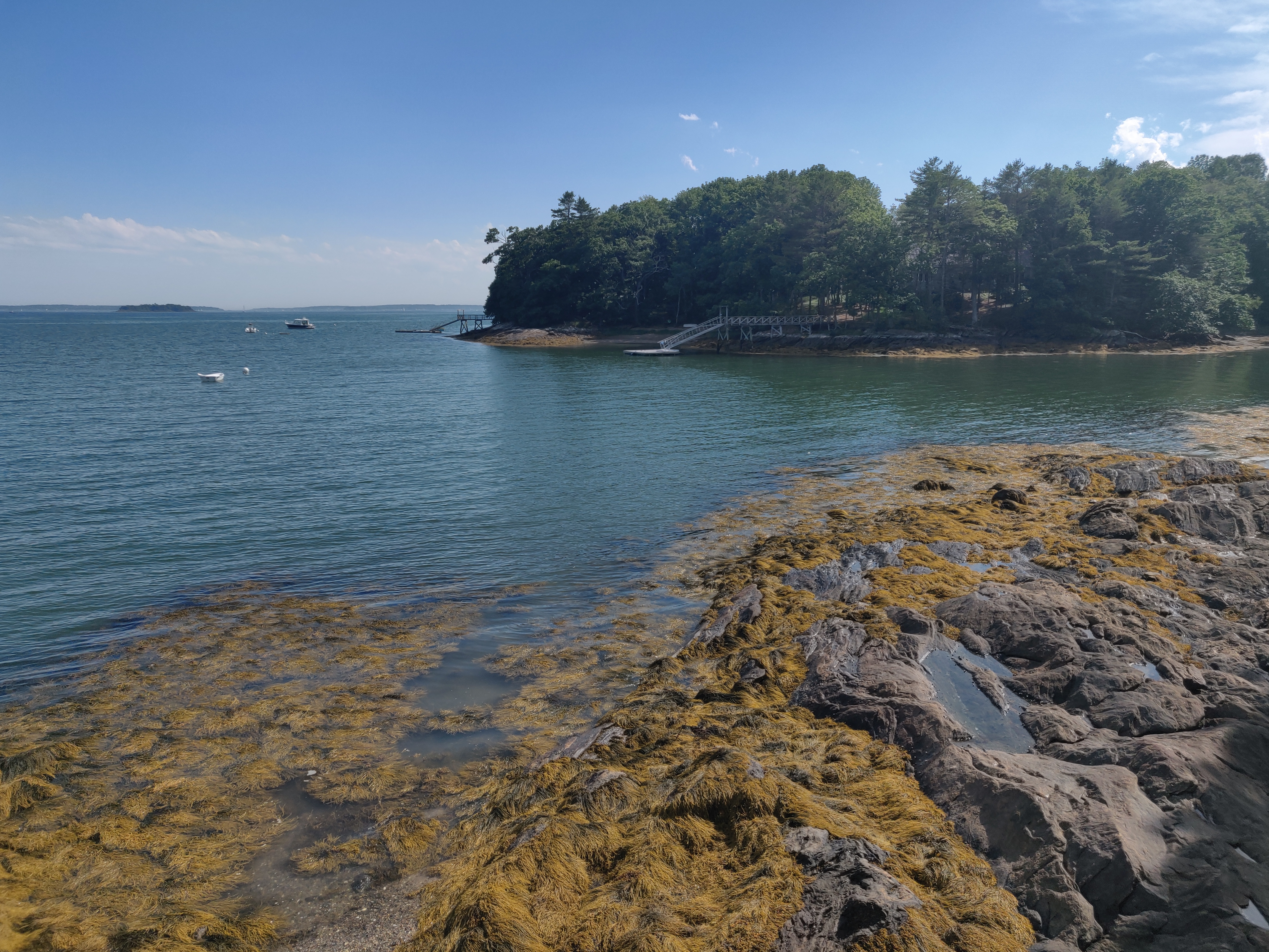 The Maine coastline near Dr. Ursiny's practice